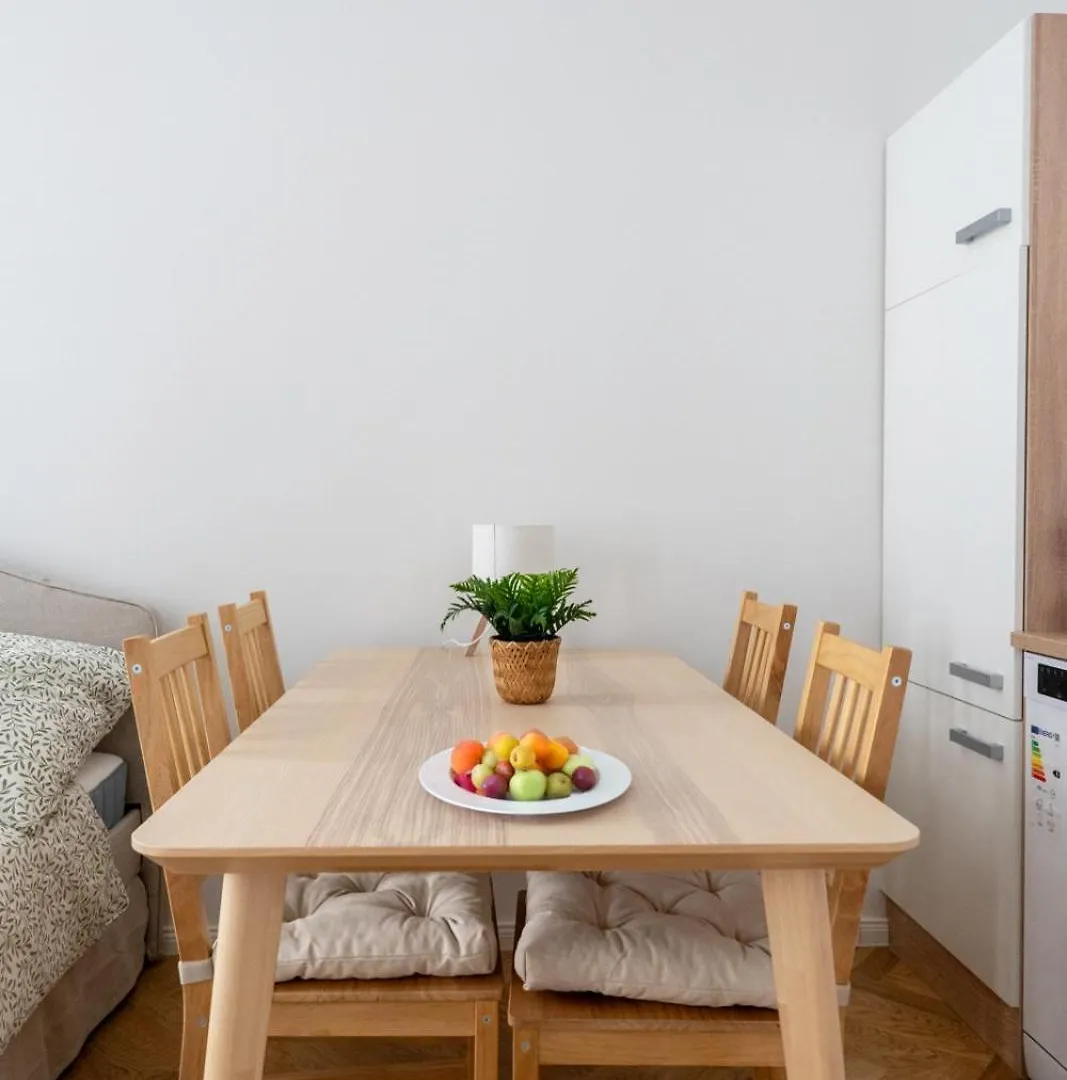 Central Premium Apartment With Balcony Vienna